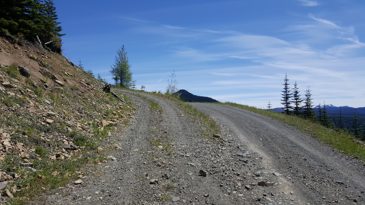 NF-7030 to Stampede Pass - Waypoint 7: Intersection with unknown Road