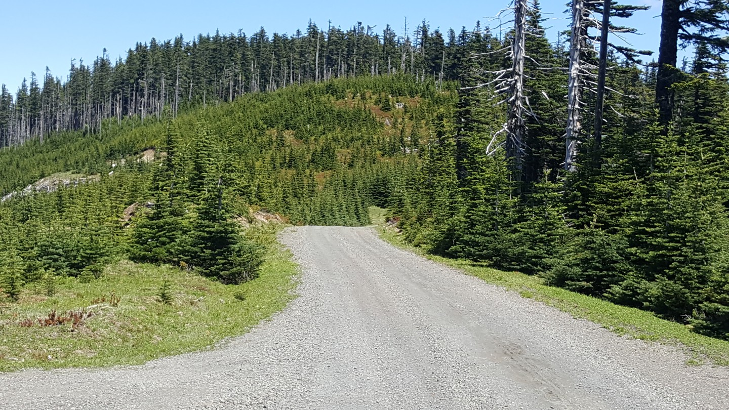 NF-7030 to Stampede Pass - Waypoint 10: Unknown Road on Left