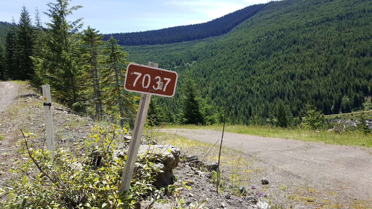 NF-7030 to Stampede Pass - Waypoint 12: Intersection with NF-7037