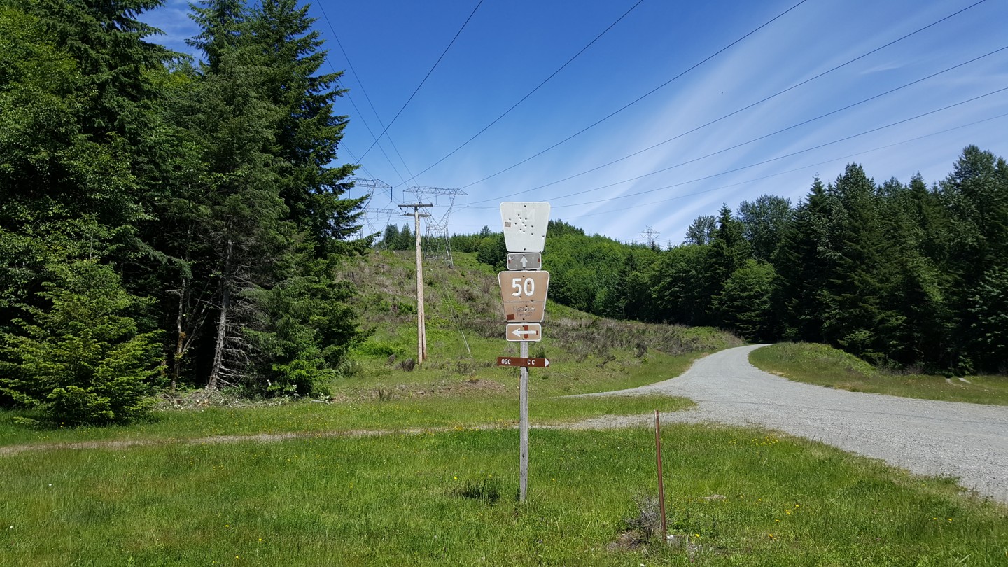 NF-7030 to Stampede Pass - Waypoint 16: Intersection with FS-50