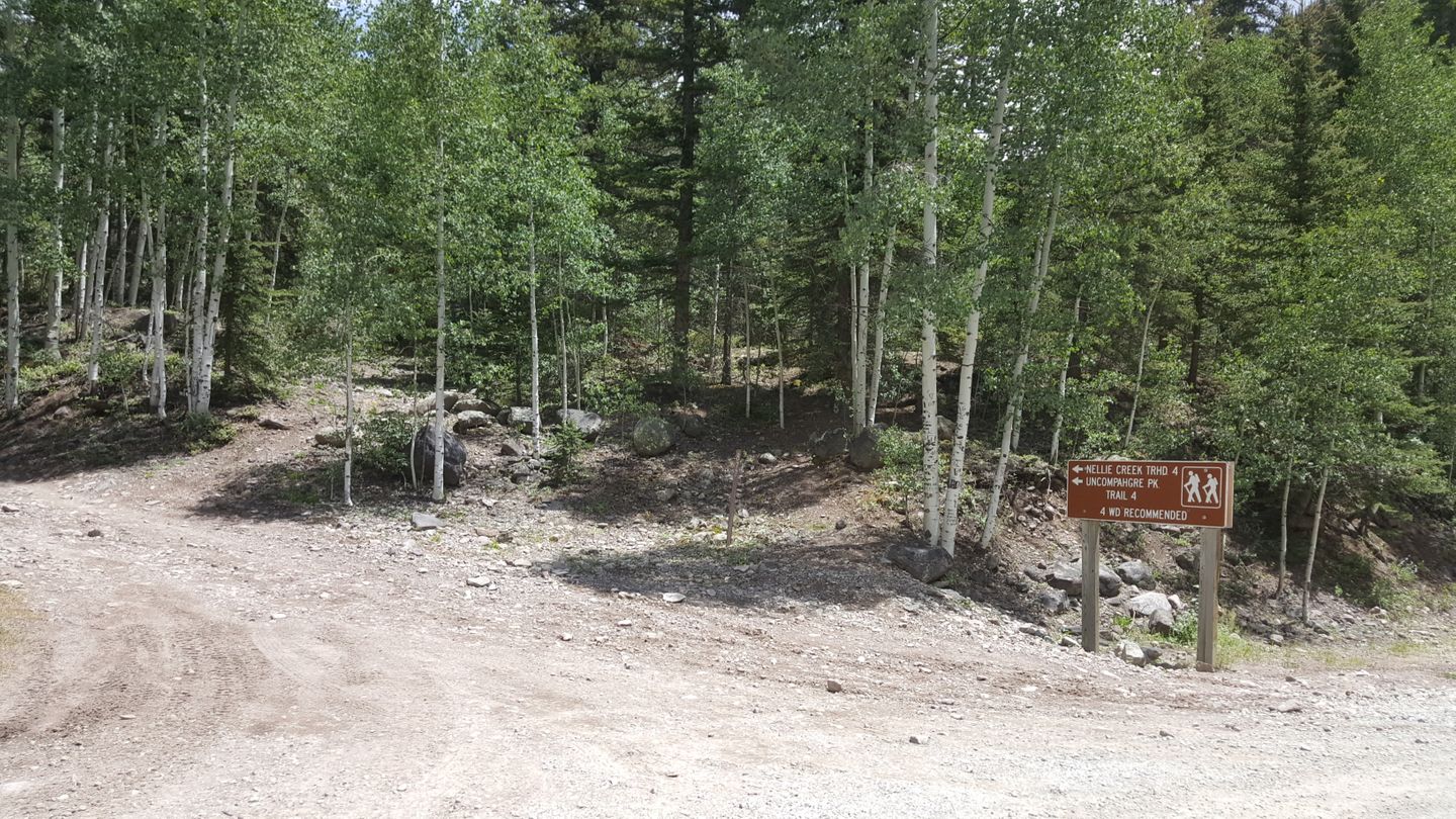 Engineer Pass - Waypoint 30: Intersection with Nellie Creek (CR 23)