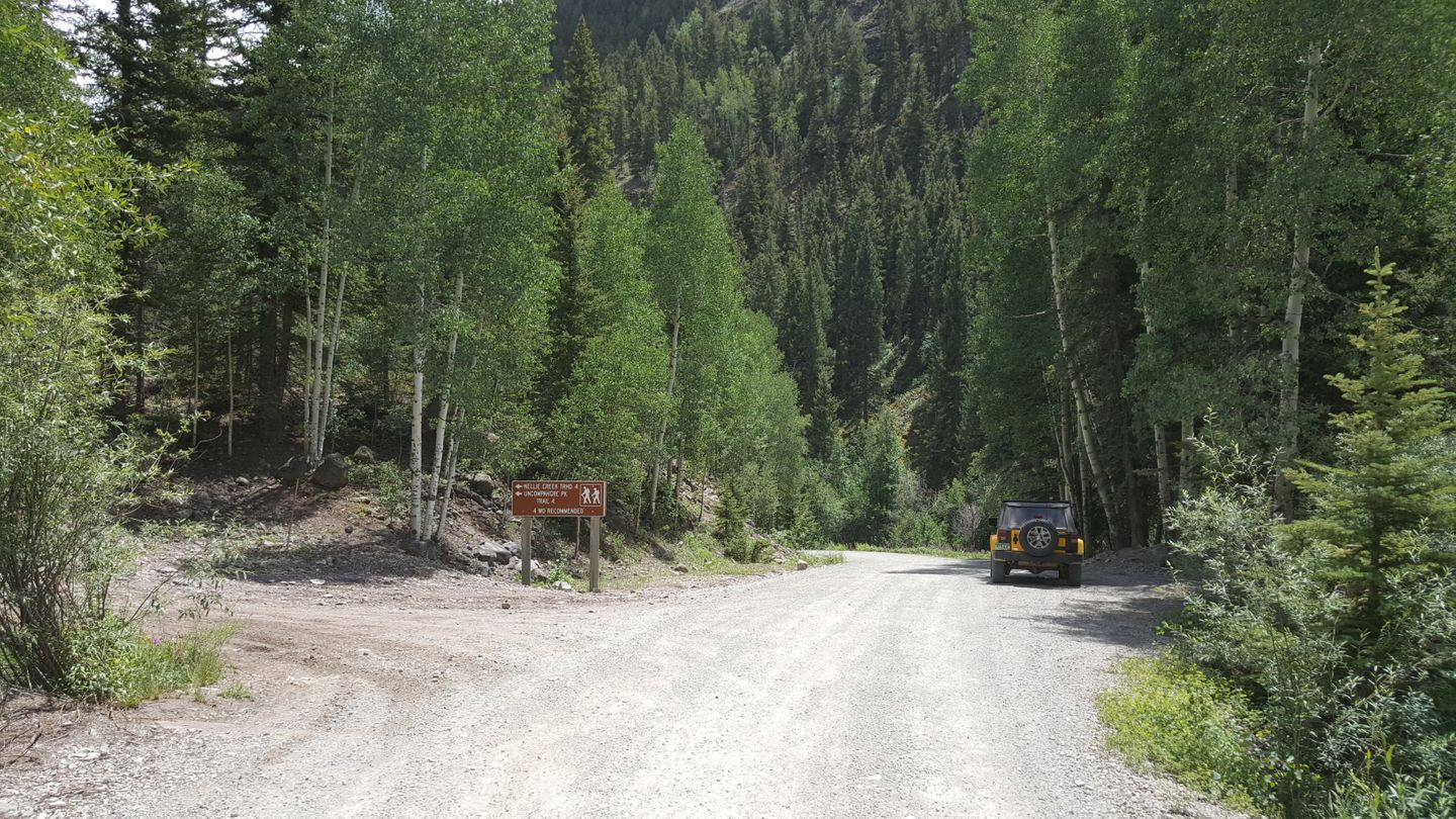 Engineer Pass - Waypoint 30: Intersection with Nellie Creek (CR 23)