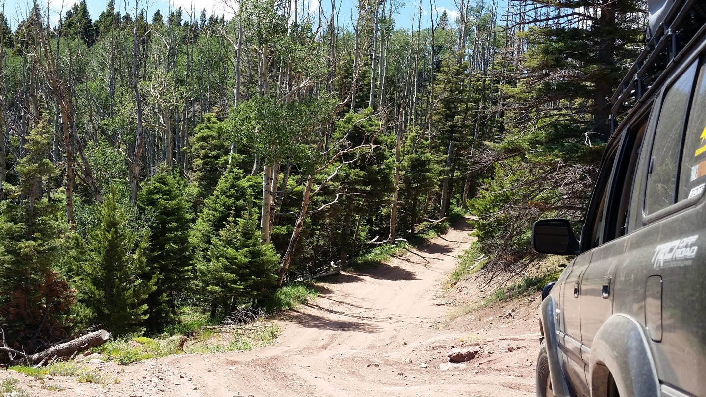 Medano Pass - Waypoint 3: Scenic Waypoint