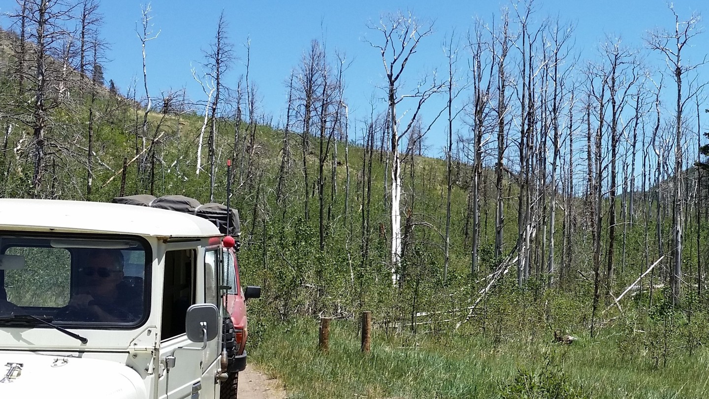 Medano Pass - Waypoint 7: Medano Fire Burn Area