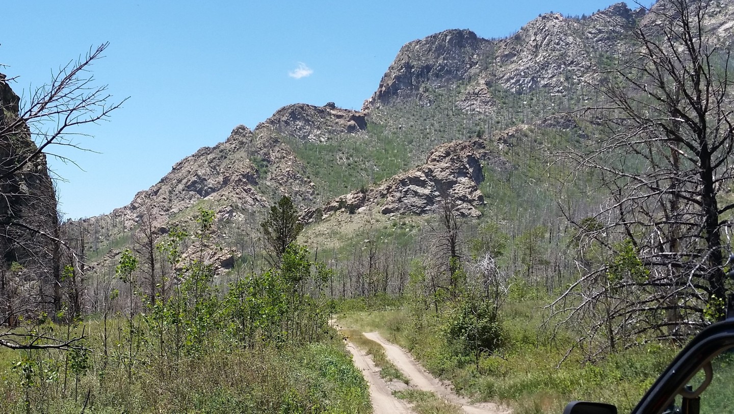 Medano Pass - Waypoint 7: Medano Fire Burn Area