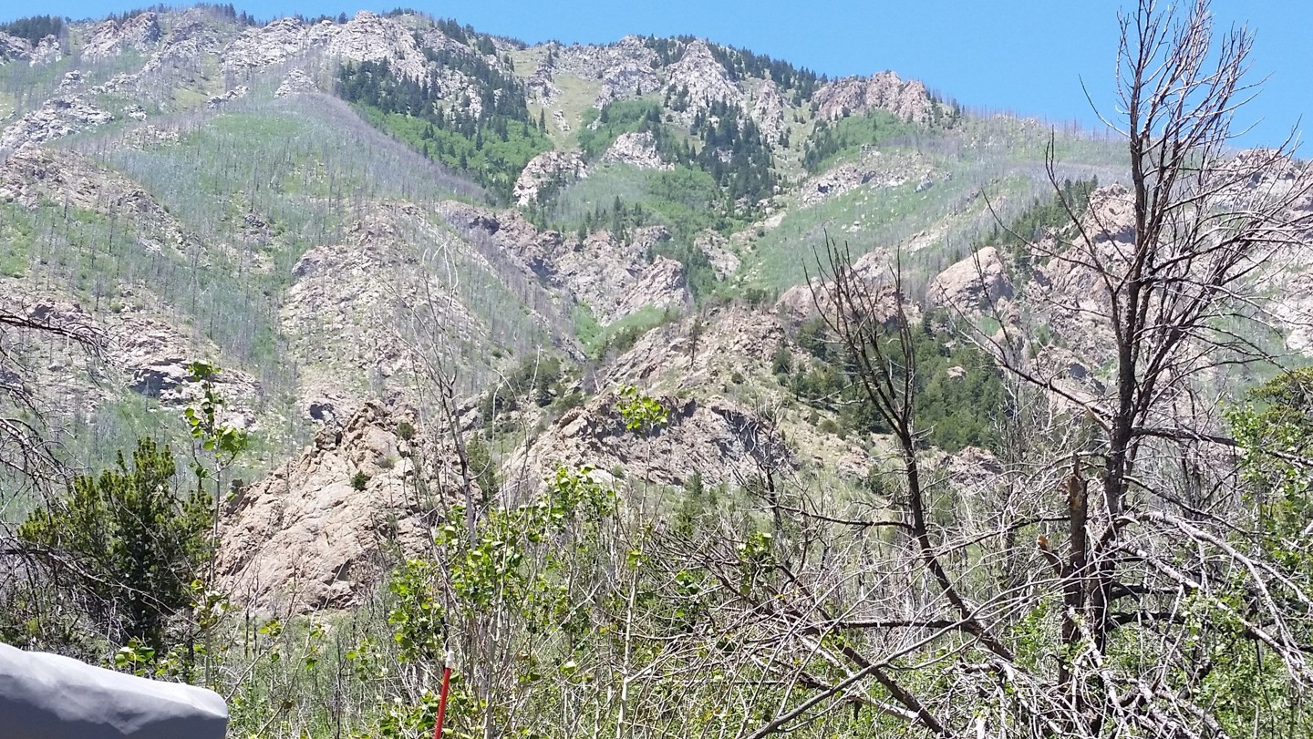 Medano Pass - Waypoint 7: Medano Fire Burn Area