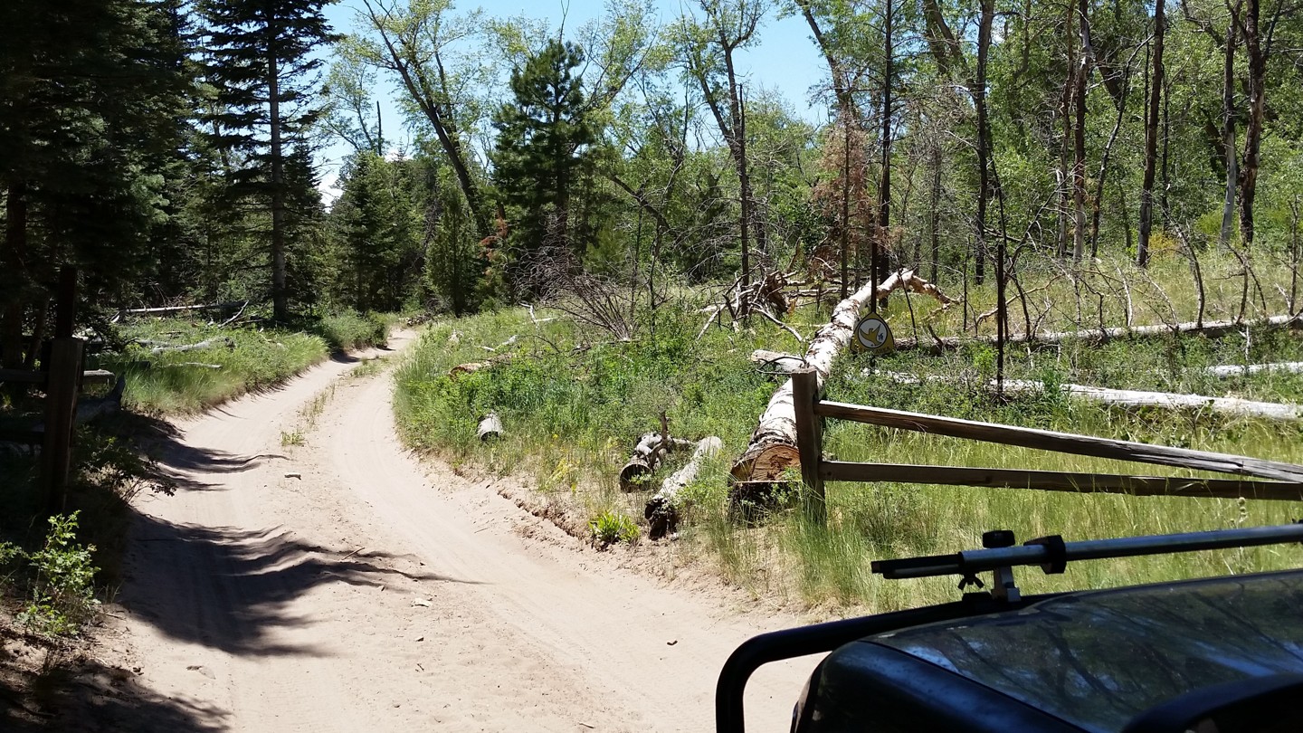 Medano Pass - Waypoint 10: National Park Boundary