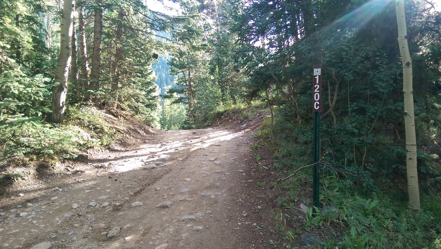 Webster Pass - Waypoint 16: Southern Trailhead