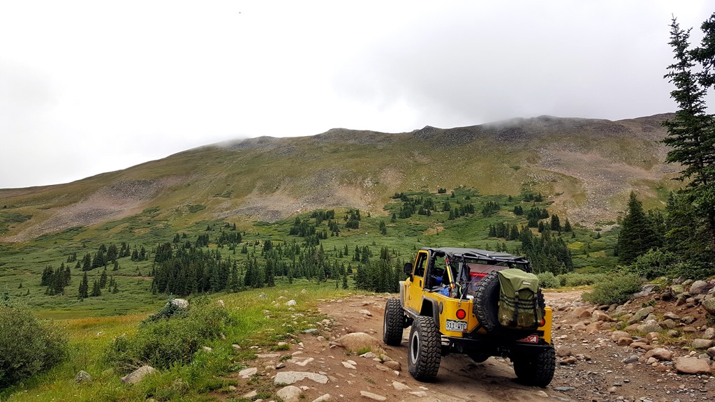 Tincup Pass - Waypoint 6: Hit Tree Line