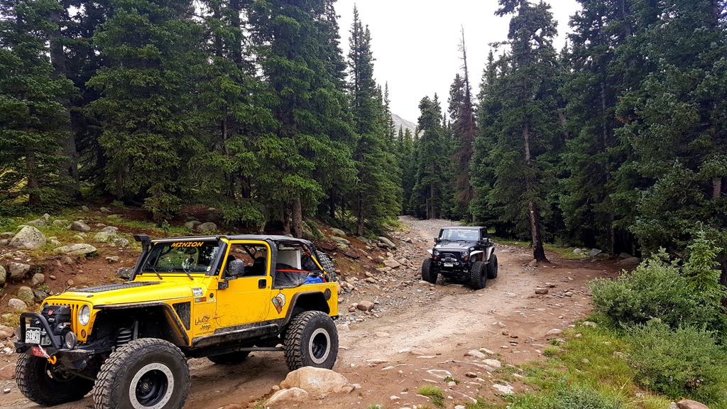 Tincup Pass - Waypoint 6: Hit Tree Line