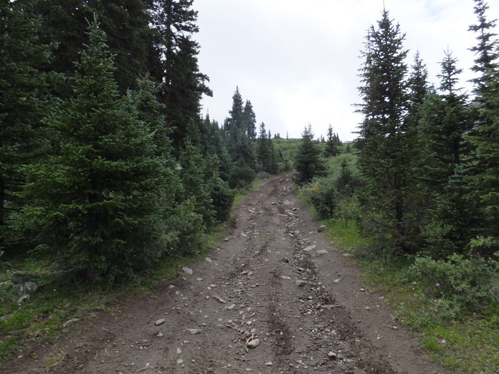 Tincup Pass - Waypoint 9: Unknown Road